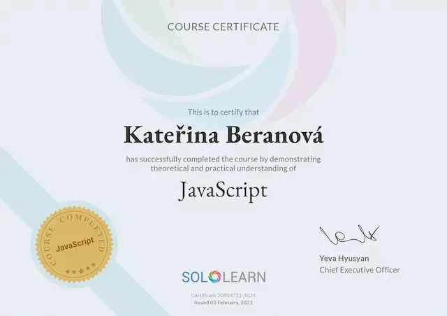 Sololearn - Javascript