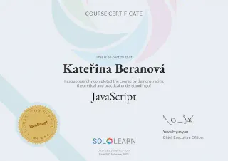 Sololearn - Javascript