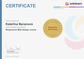 Sololearn - Responsive web design